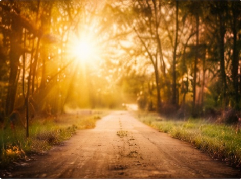 Walking in the Light